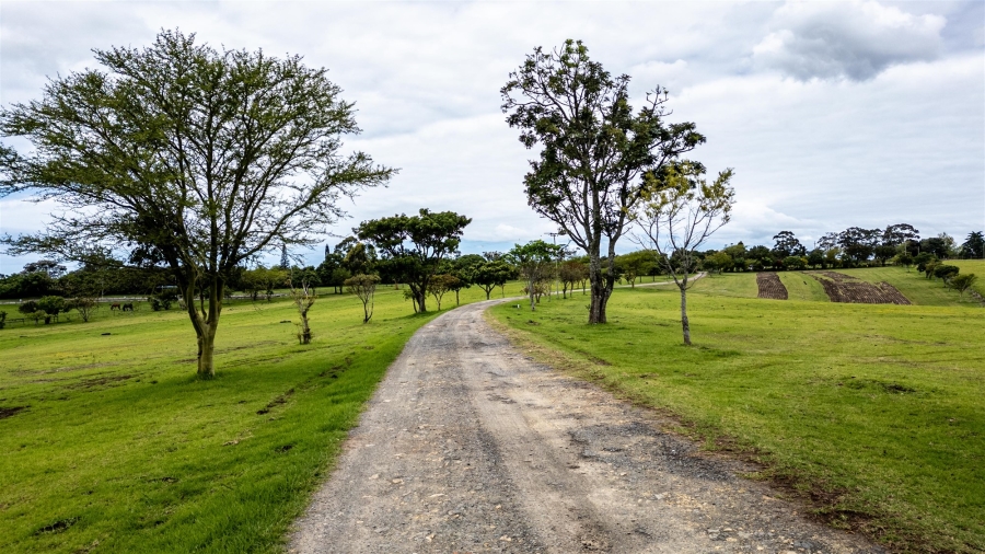 5 Bedroom Property for Sale in East London Rural Eastern Cape